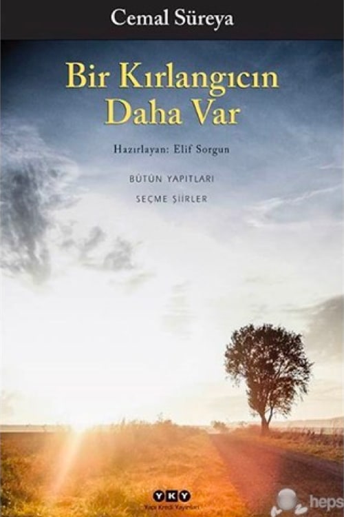 Bir Kırlangıcın Daha Var